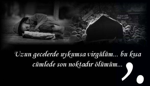 sitemli_resimler_ (4)-1.jpg